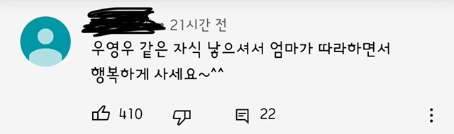 우영우 따라하는 유튜버들한테 달리는 댓글수준.jpg | 인스티즈