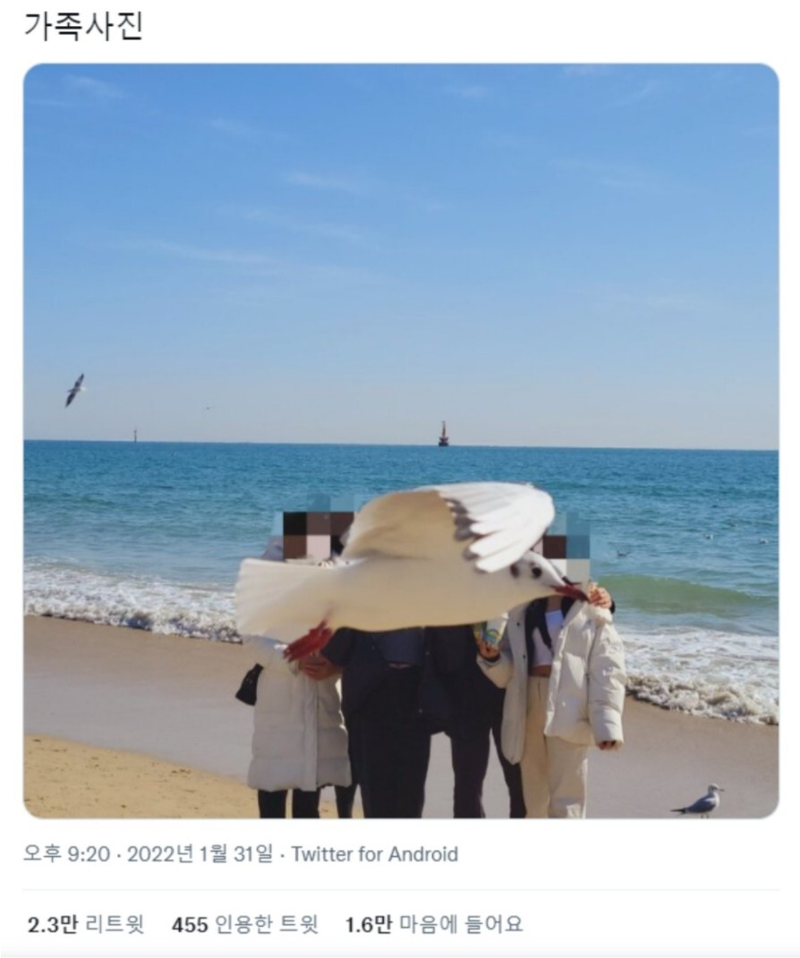 가족사진 인생샷.JPG | 인스티즈