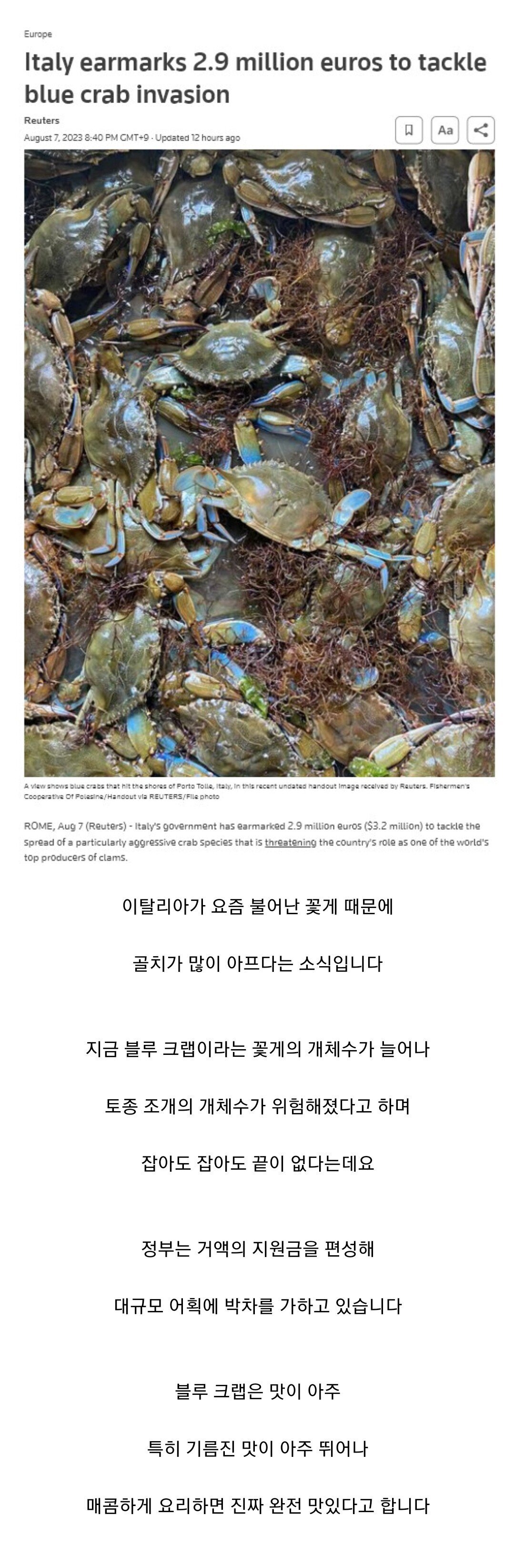 꽃게 때문에 골치가 아프다는 이태리 근황 | 인스티즈