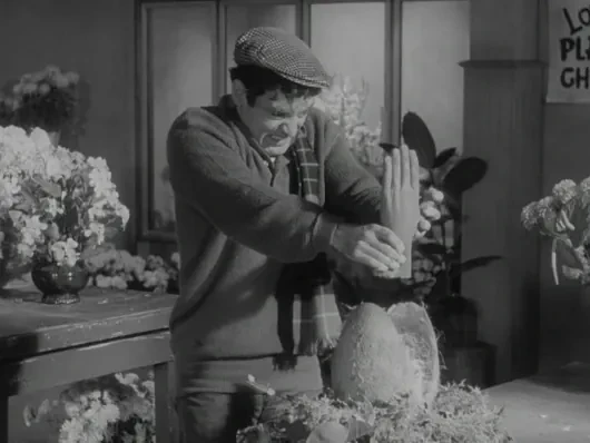 이틀 동안 촬영한 영화의 최후 | 인스티즈