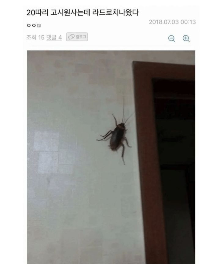 0133af467d3b28038787edbdbd4ce8dd03c88aff