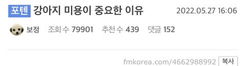 강아지 미용이 중요한 이유 | 인스티즈