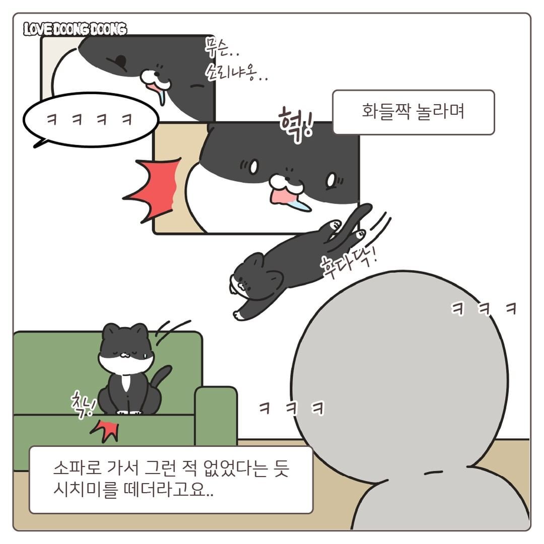 창틀에 낑겨서 자는 고양이.jpg | 인스티즈