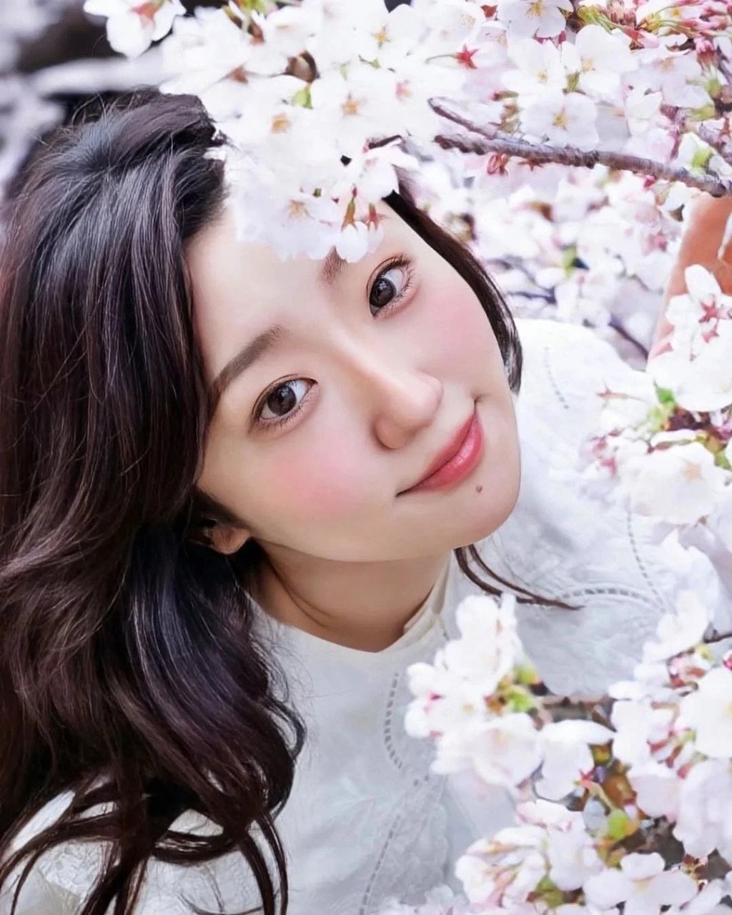 일본에서 인기 많다는 이혼 전문 여변호사 | 인스티즈