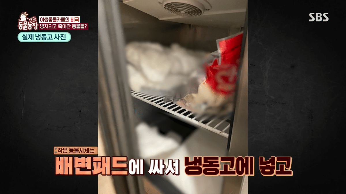 현재 난리난 동물농장에 나온 동물카페 사장.jpg | 인스티즈