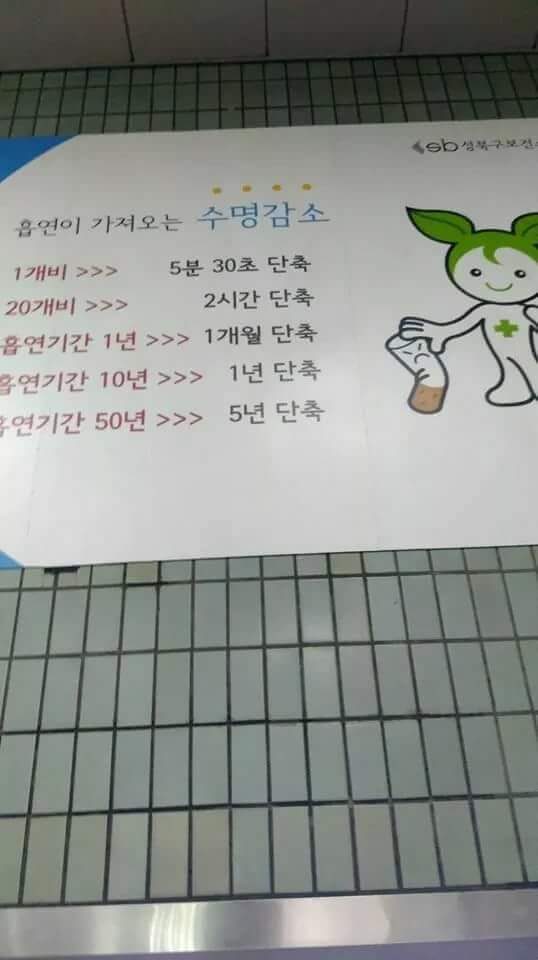 흡연이 가져오는 수명단축 | 인스티즈