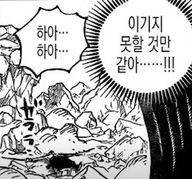 원피스) 쿠이나가 죽은 이유에 대한 새로운 해석 | 인스티즈