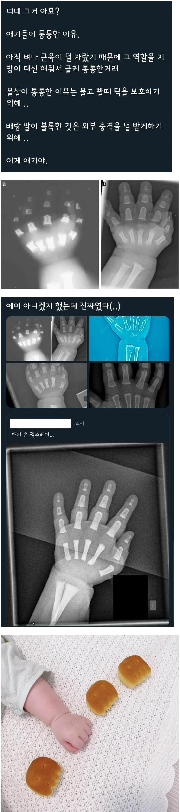애기들이 통통한 이유 | 인스티즈