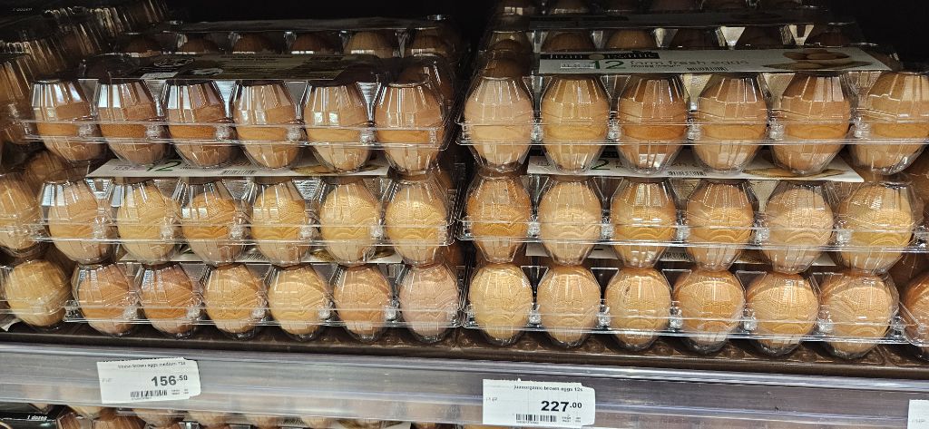 악명높은 필리핀 마닐라에서의 1주일 후기 | 인스티즈