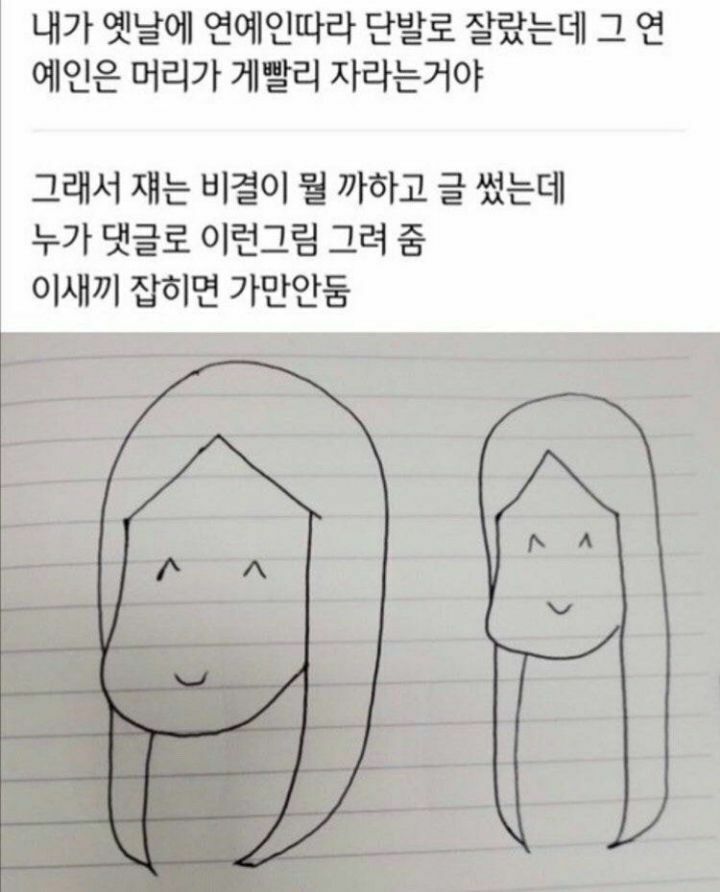 연예인들 머리가 빨리 자라는 이유 | 인스티즈
