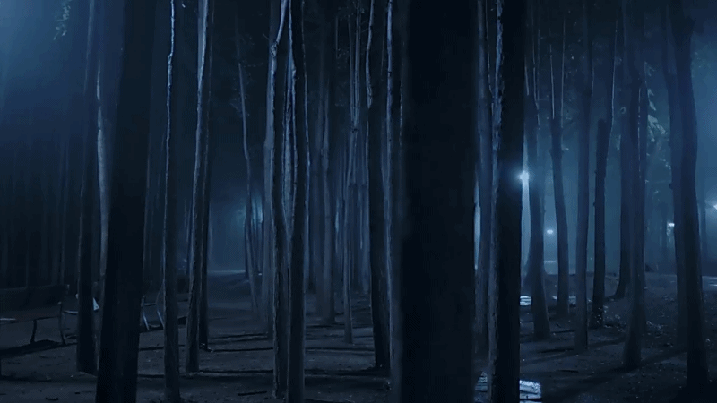 한 유튜버가 촬영하면서 정말 무서웠다는 새벽 2시 서울숲 풍경 | 인스티즈