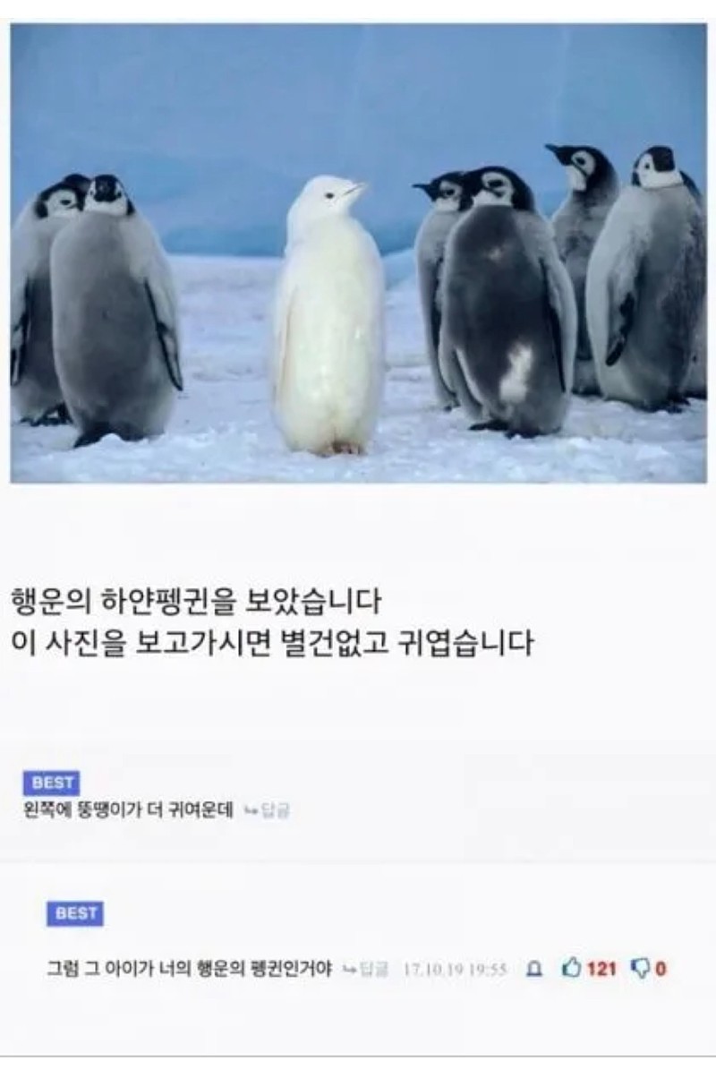 말을 예쁘게 하는 사람들 | 인스티즈