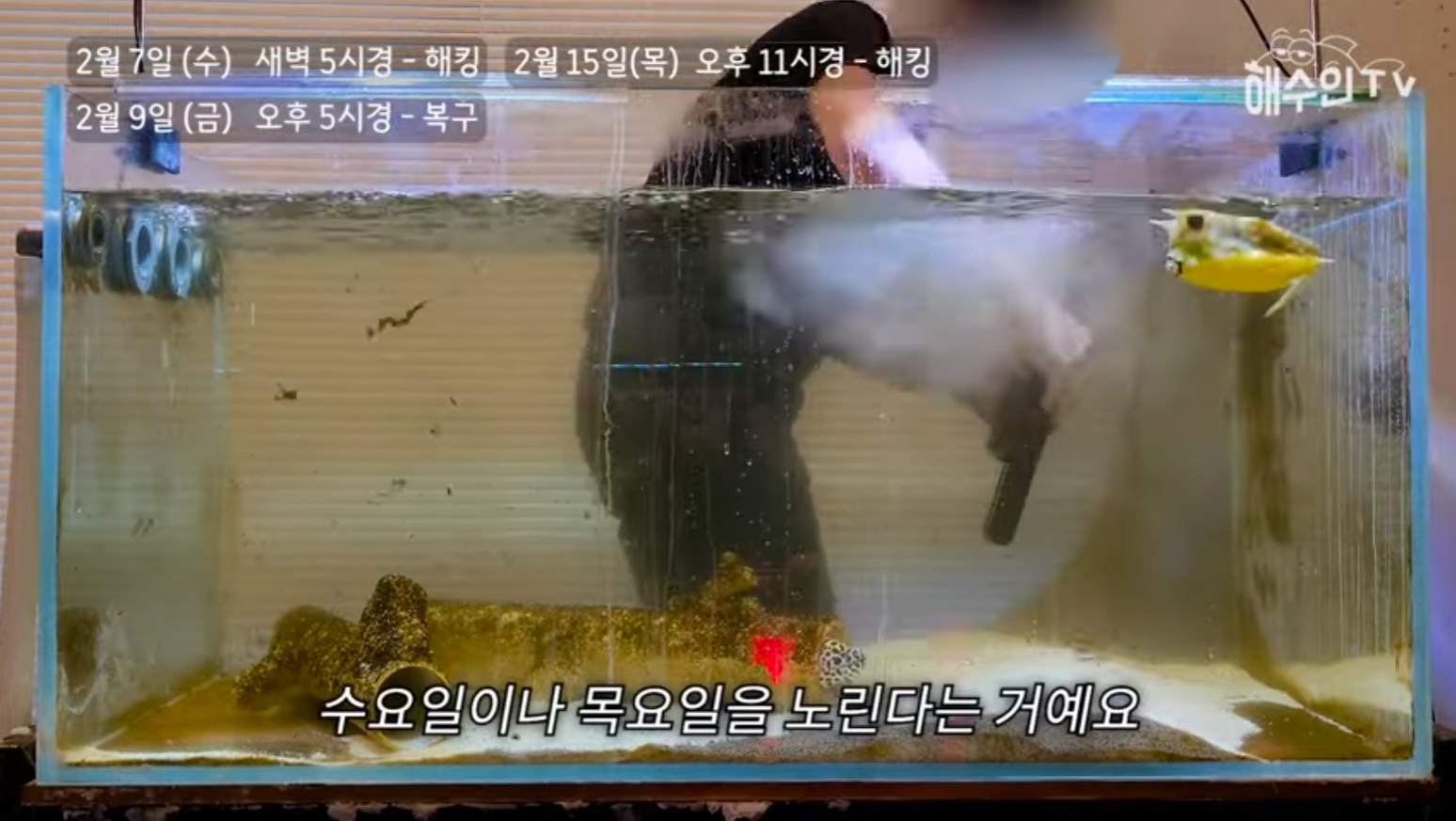 유튜브 계정이 3번이나 해킹 당한 이유 | 인스티즈