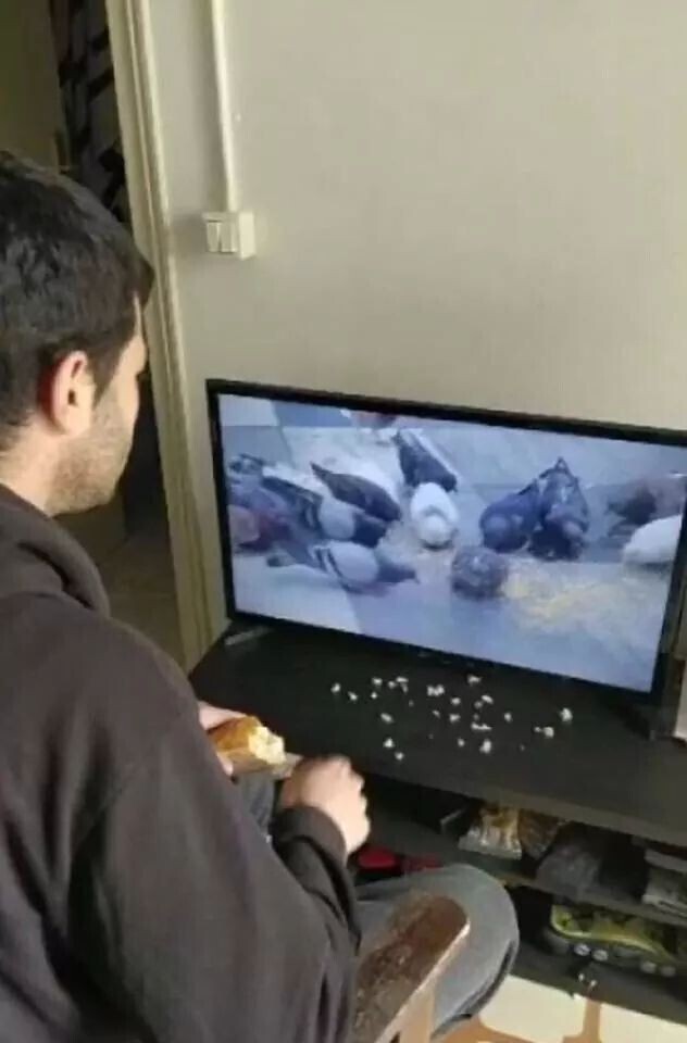 할 일 없는 사람들 | 인스티즈