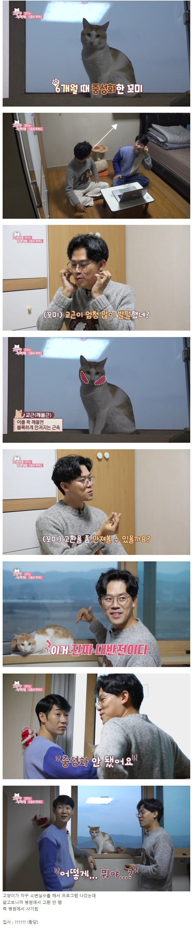 동물병원 사기 레전드.jpg | 인스티즈