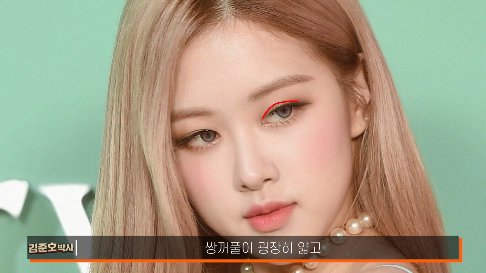 성형전문의가 분석한 블랙핑크 로제 | 인스티즈