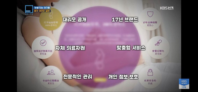 충격과 공포의 중국 대리모 시장 | 인스티즈