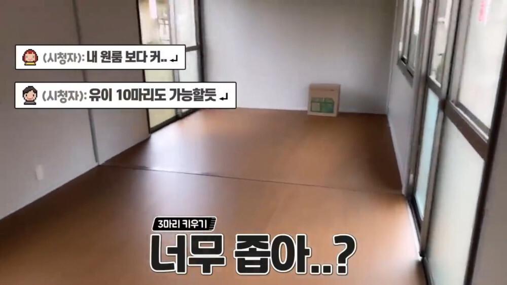 [스압주의] 일본인 캣맘 유튜버 2편 - 3천만원짜리 고양이 집 지음 | 인스티즈