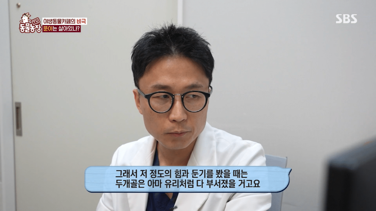 현재 난리난 동물농장에 나온 동물카페 사장.jpg | 인스티즈