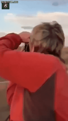 기린에게 쫓기는 사람들ㄷㄷㄷ.gif | 인스티즈