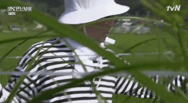 [일로만난사이] 유재석에게 일을 안하냐고 물어보는 정재형 | 인스티즈