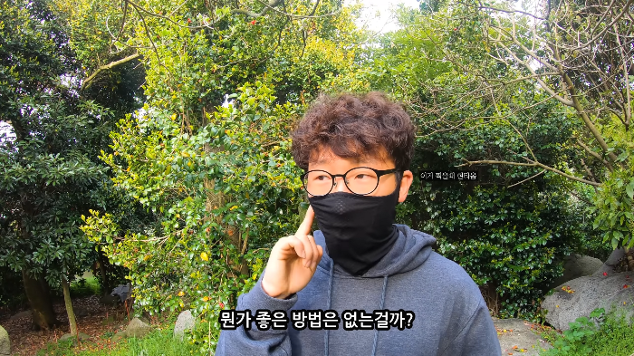 [사진100장스압] 고양이가 자연생태계에 끼치는 심각한 영향 | 인스티즈