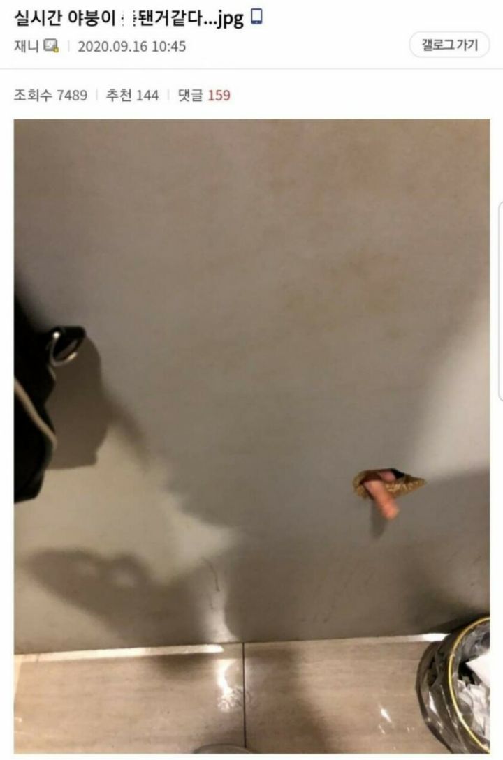 야붕이 실시간 x된 모음집 | 인스티즈