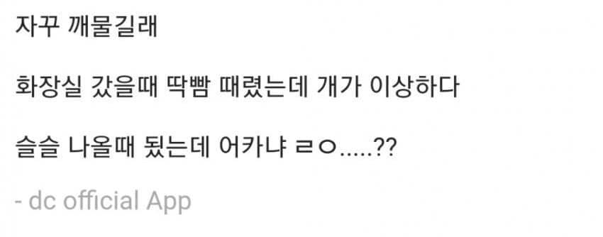 디씨 댕댕이 인증 레전드 모음 | 인스티즈