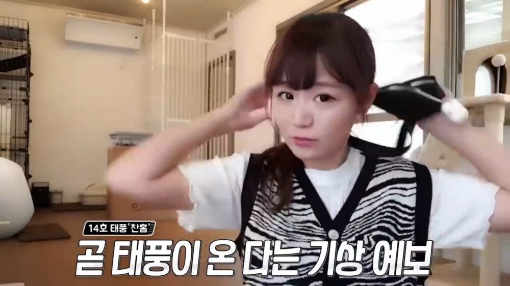 [스압주의] 일본인 캣맘 유튜버 2편 - 3천만원짜리 고양이 집 지음 | 인스티즈