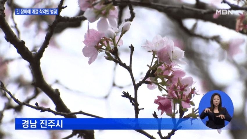 아 테스형 세상이 왜 이래~ | 인스티즈