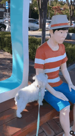 자기 아는체 안해주고 이뻐해주질 않아서 심통남 | 인스티즈