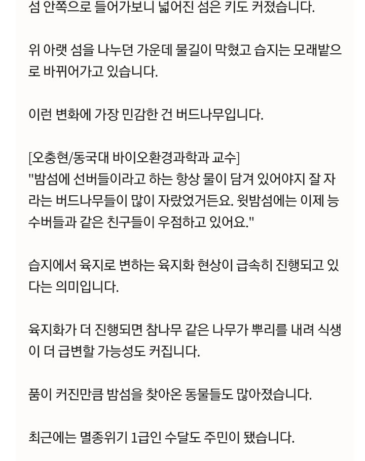 사람 발길이 끊긴 한강 밤섬 6.4배나 더 커졌다 | 인스티즈