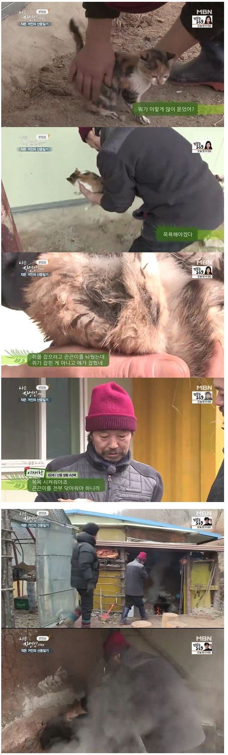 고양이를 뜨거운물에 담가버리는 자연인 | 인스티즈