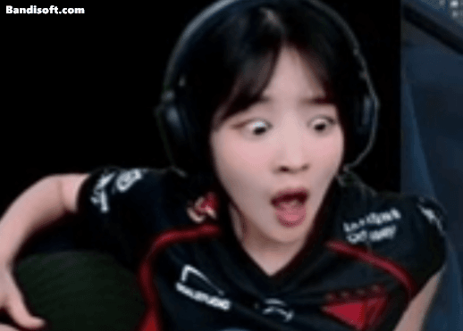 스트리머로 알아보는 롤의 위험성 gif | 인스티즈