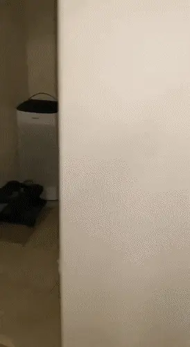 마녀들의 동창회.gif | 인스티즈