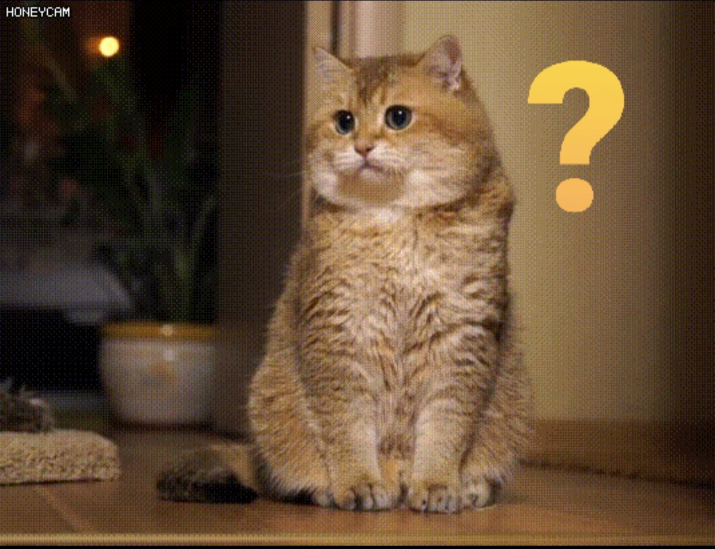 여자 연봉 5천은 남자로 치면 얼마야? | 인스티즈