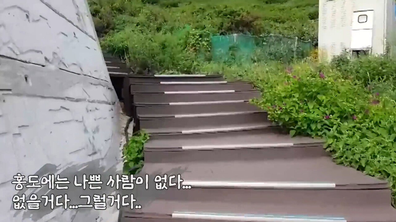 한국에서 핸드폰 잃어버린 일본인 유튜버.JPG | 인스티즈