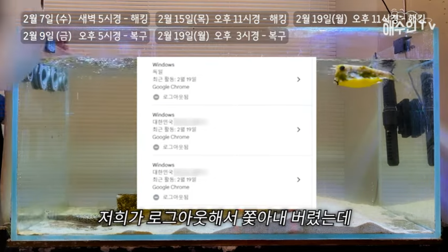 유튜브 계정이 3번이나 해킹 당한 이유 | 인스티즈