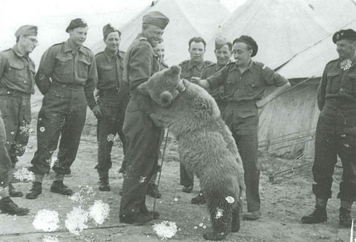 나치에 맞선 폴란드의 전쟁영웅 보이텍 하사 | 인스티즈