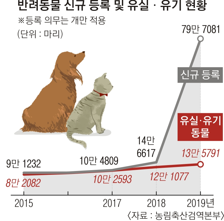 점점 유기견이 늘어날꺼라고 보는 전문가들 | 인스티즈