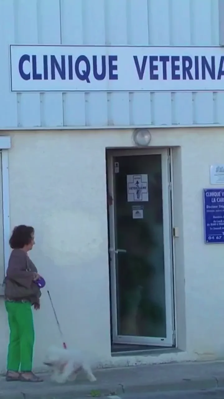 살벌한 동물병원 몰카 | 인스티즈