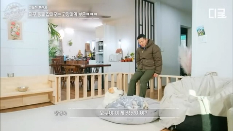 개랑 고양이 같이 키우는 집에서 방송하다 사고나서 깜짝 놀란 강형욱 | 인스티즈