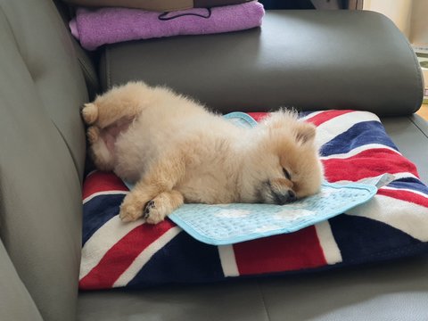 보고싶은 우리 맥주 | 인스티즈