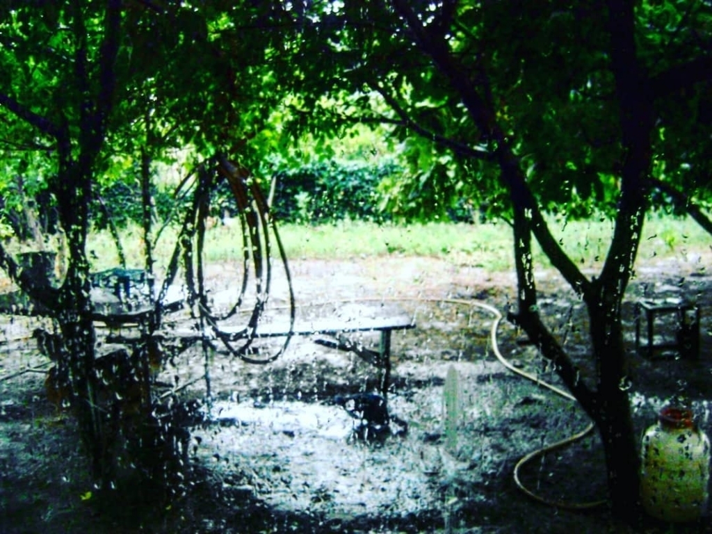 비오는 날 사람마다 갈린다는 거.......jpg | 인스티즈