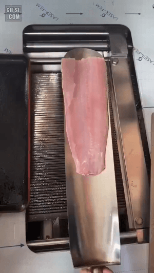 물고기 슬라이스 기계 | 인스티즈