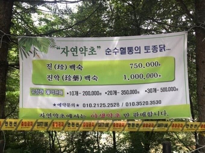 ???:닭 한마리에 3만원인데 남는게 있다고? | 인스티즈