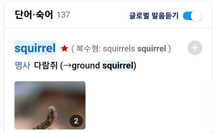 이상한 다람쥐의 세계... | 인스티즈