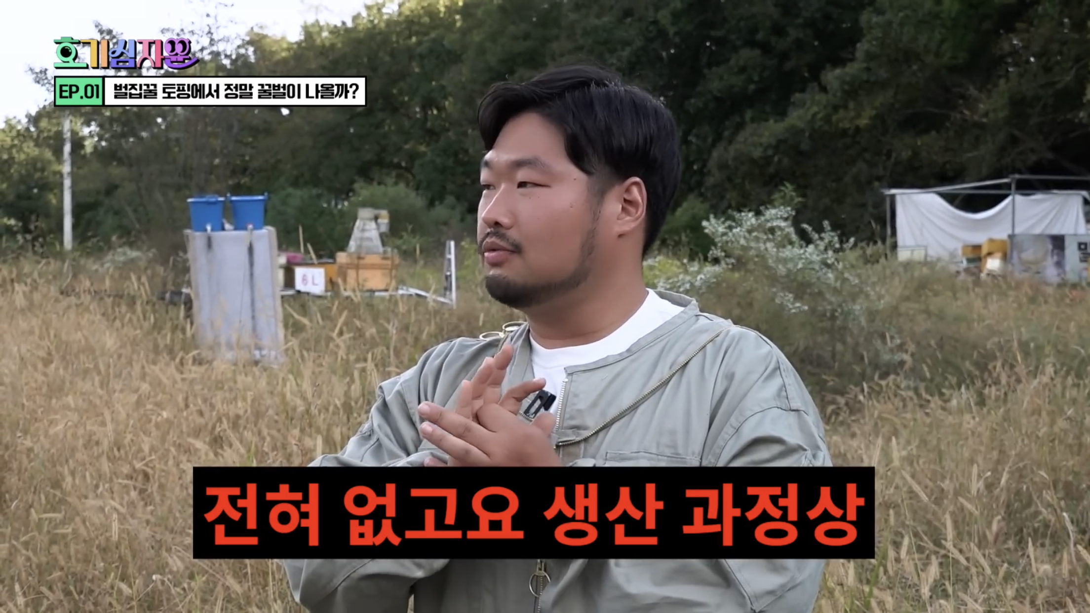 요거트 아이스크림 벌집꿀에서 나오는 벌의 정체............jpg | 인스티즈