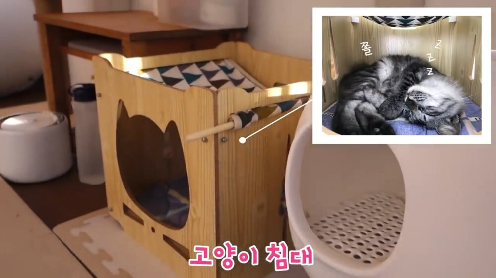 [스압주의] 일본인 캣맘 유튜버 2편 - 3천만원짜리 고양이 집 지음 | 인스티즈