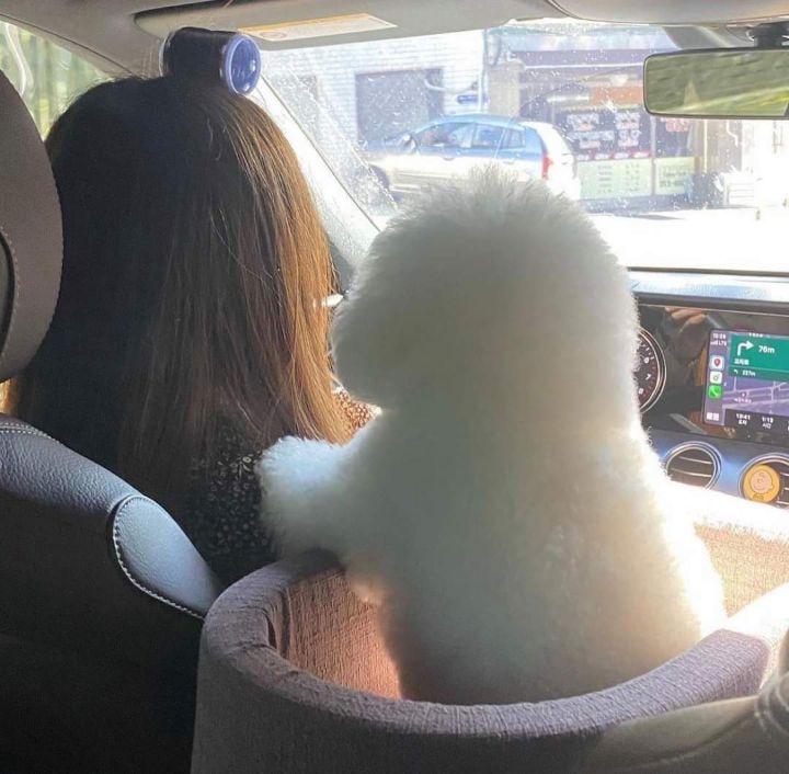 06ff1a49406bcf37f3f41feff906e5d0bd3bcaf9